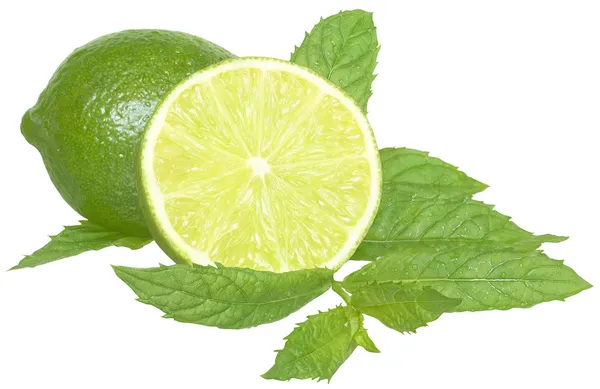 Gesneden?? Lime met muntblaadjes. — Stockfoto