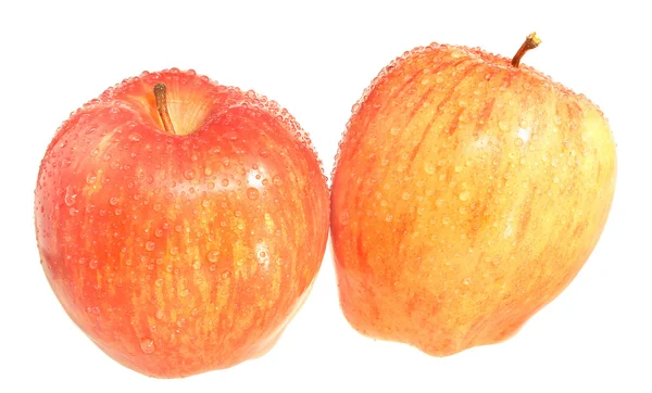 两个整个苹果 — 图库照片