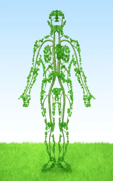 Человек - дерево Лицензионные Стоковые Фото