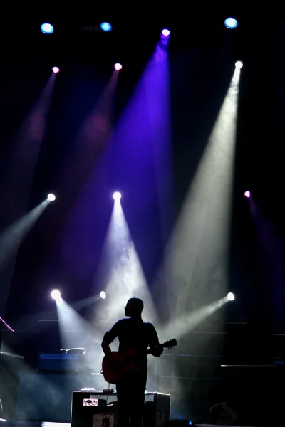 무대에 있는 기타 연주자 스톡 사진