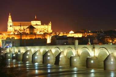 ILluminated Cathedral-Mosque of Cordoba at the blue hour, Andalusia, Spain clipart