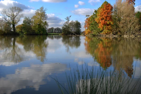 stock image Autumn lake scene