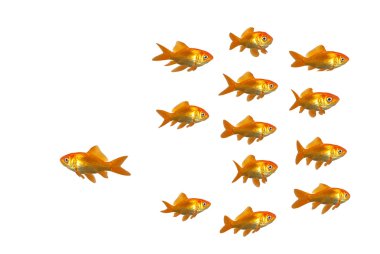 Leaving fish clipart