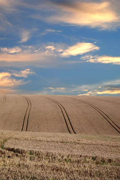 Plodiny pěstované pod dramatická obloha — Stock fotografie