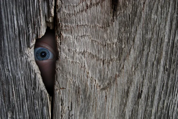 Eye spy — Stock Photo, Image