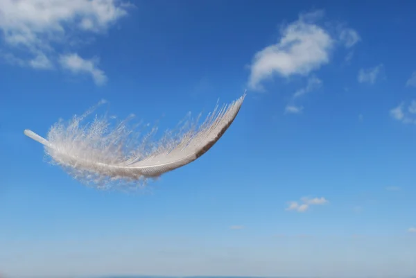 Feather floating in the summers sky — Stock Photo, Image