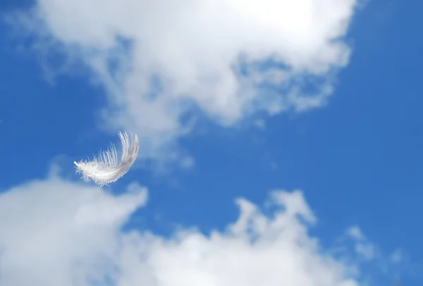 Перо, плывущее в небе — стоковое фото