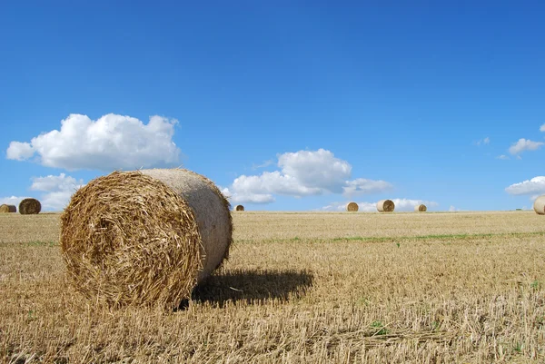 stock image Hay bails