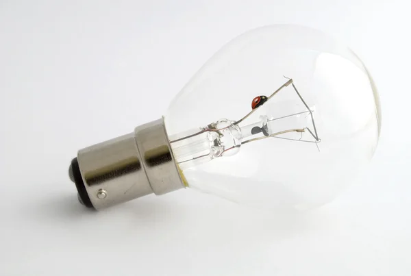 Ladybird on bulb filament — Stock Photo, Image