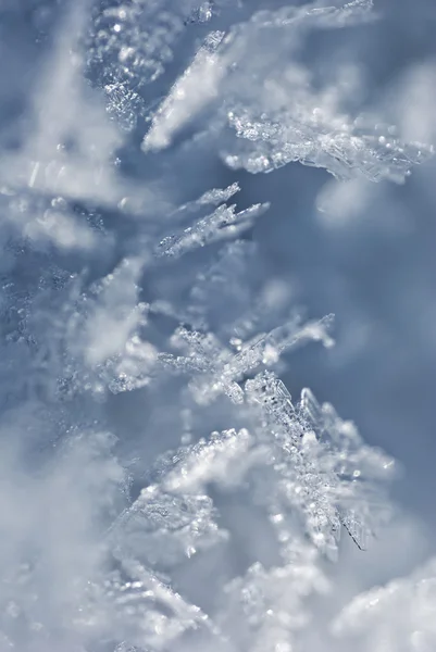 Снежный макрос — стоковое фото