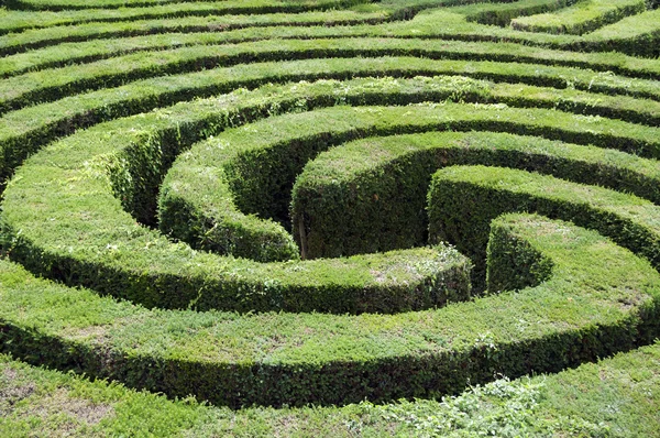 stock image Maze made from a hedge