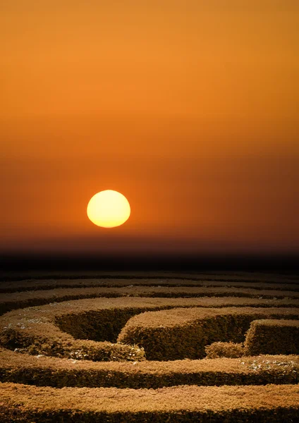 Labyrinthe de haies coucher de soleil — Photo