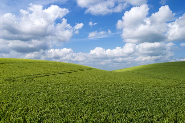 Rolling hill landscape — Stock Photo, Image