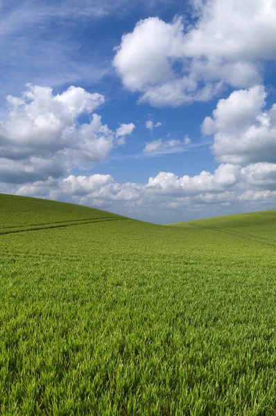 Rolling hill landscape — Stock Photo, Image