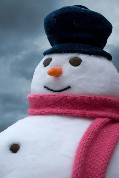 Snowman portrait — Stock Photo, Image