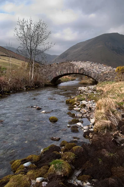 Mountain Stream flowing under a stone bridge — Stock Photo, Image