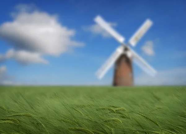 Crops and windmill — Stock Photo, Image