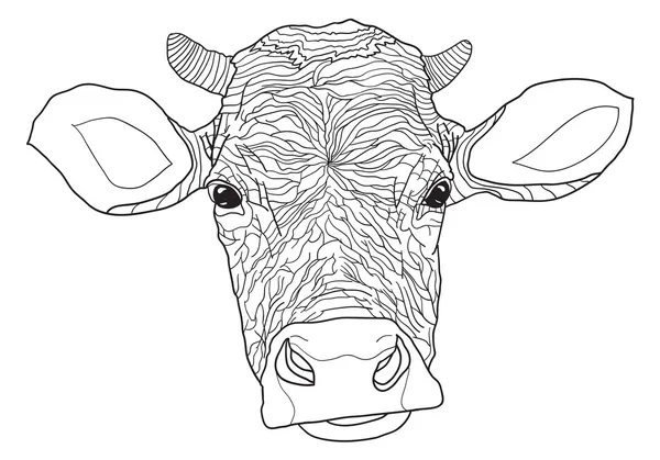 Stock vector Vector contour cow