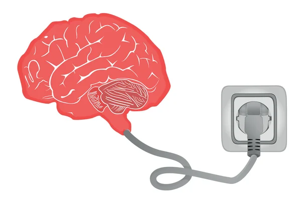 Cerebro conectado con zócalo — Vector de stock