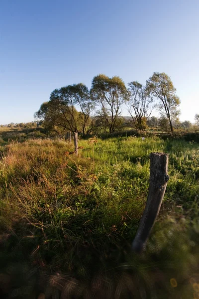 stock image Rural landscape