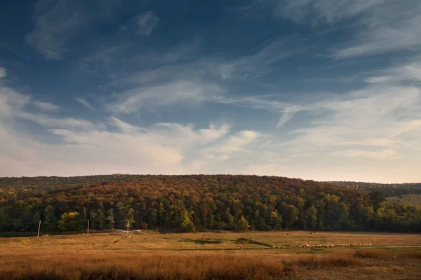 Höst lanscape — Stockfoto