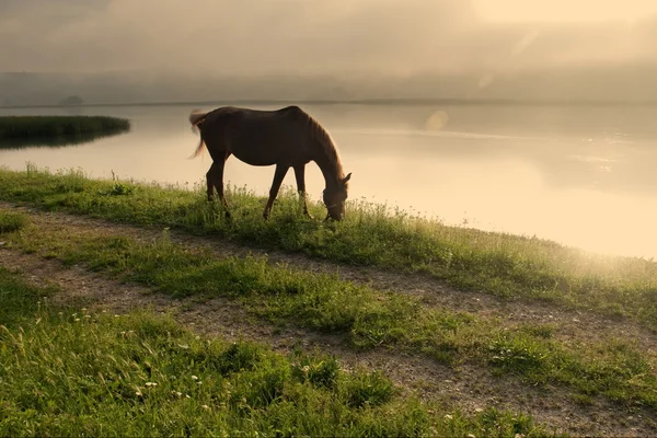 Landschaft mit Fluss — Stockfoto