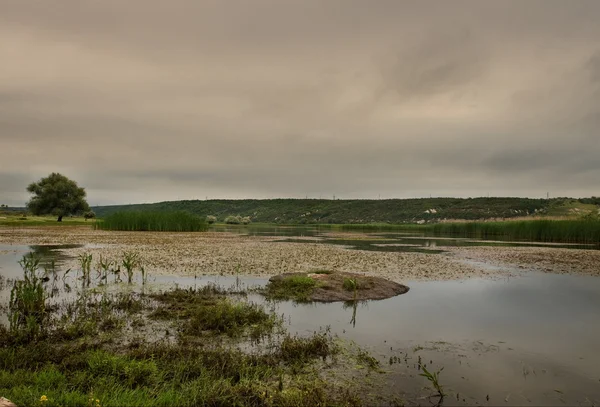 Stock image Landscape with river