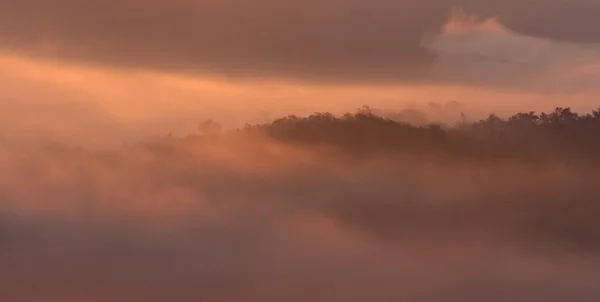 Niebla paisaje —  Fotos de Stock