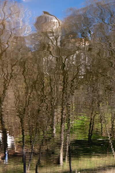 Альндскейп
