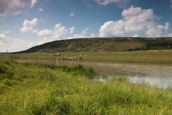 stock image Landscape