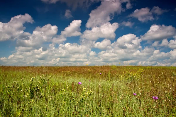 stock image Landscape