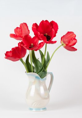 Tulips clipart