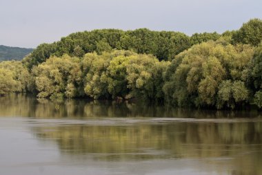 Riverlandscape