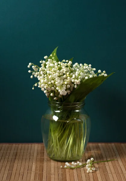 stock image Convallaria