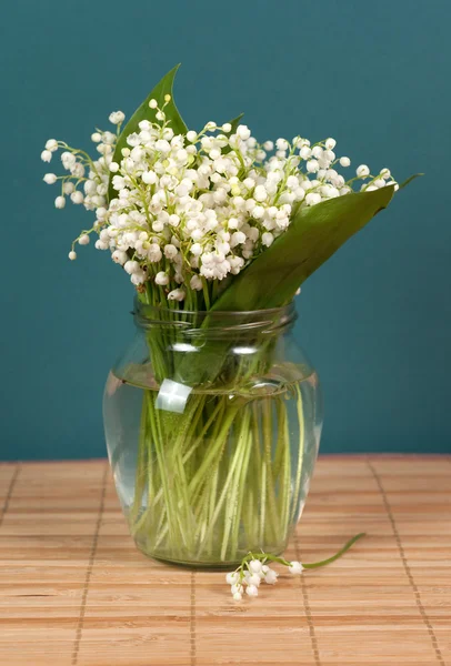 stock image Convallaria