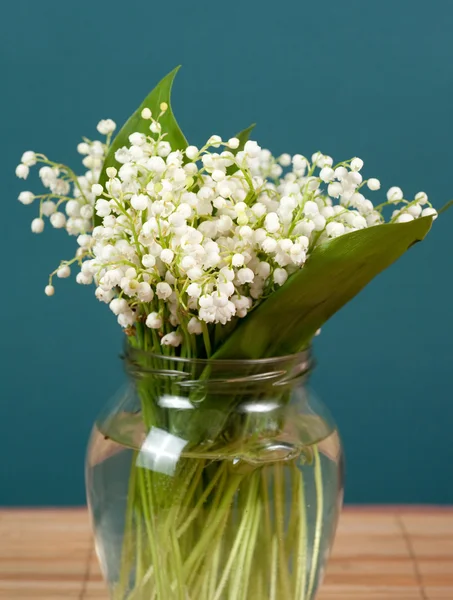 stock image Convallaria