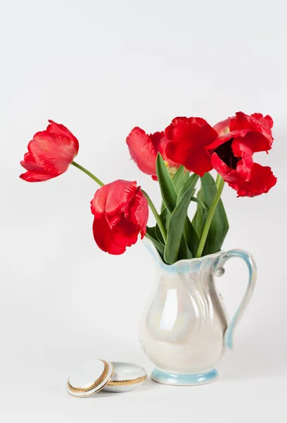 stock image Tulips