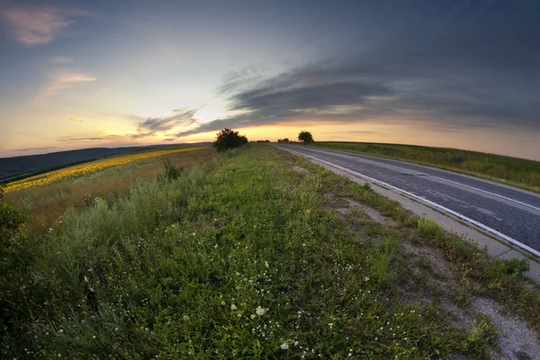 stock image The road