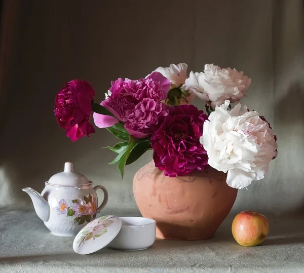 टूलिप फूल — स्टॉक फोटो, इमेज
