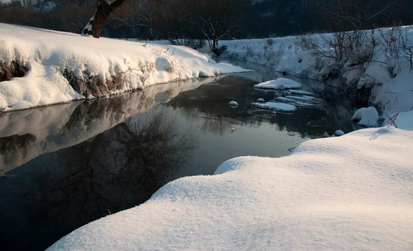 stock image Winter Landscape