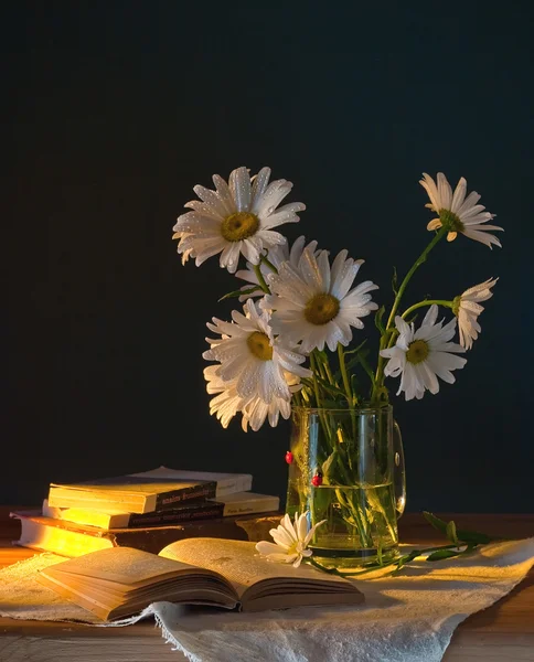 stock image Still life with camomiles