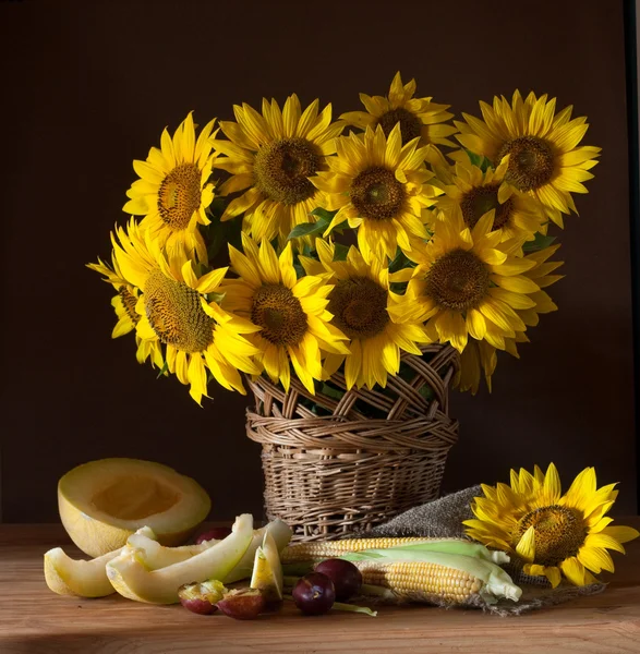 Sunflower — Stock Photo, Image