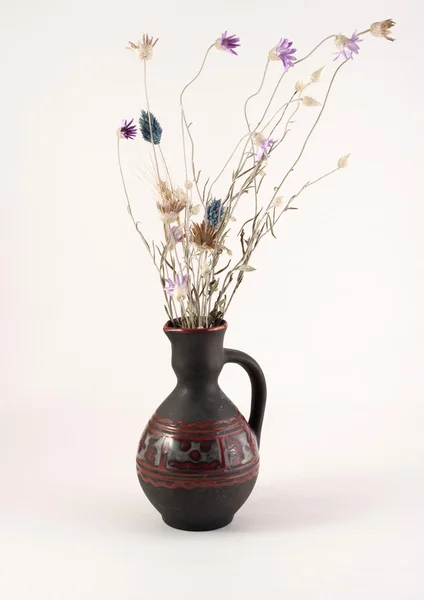 Flower in vase — Stock Photo, Image