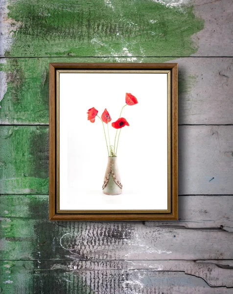 帧与红色罂粟花 — 图库照片