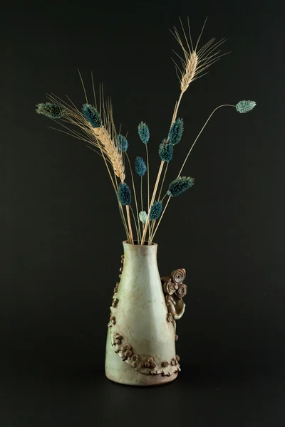 Fiore in vaso — Foto Stock