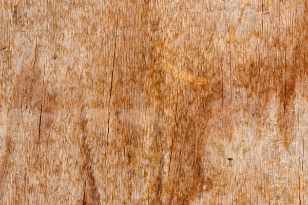 stock image Wood texture