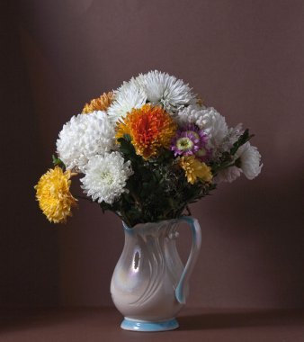 Chrysantemum