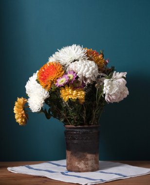 Chrysantemum