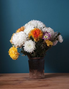 Chrysantemum