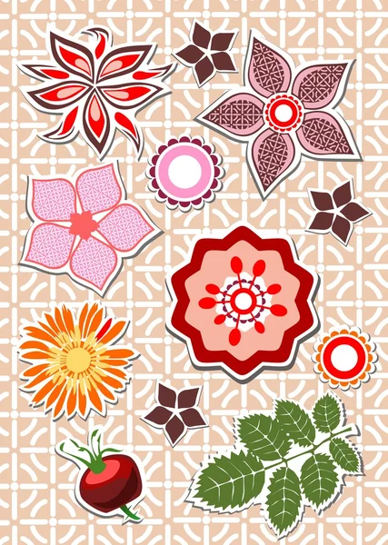 Elementos florales chatarra reserva — Archivo Imágenes Vectoriales